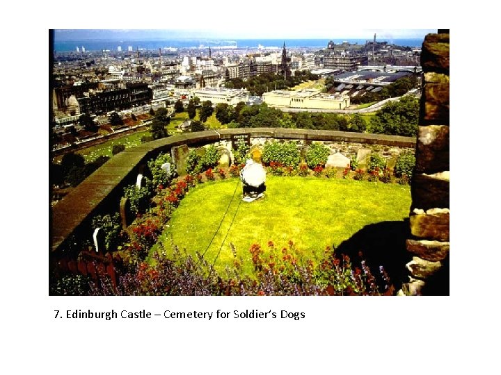 7. Edinburgh Castle – Cemetery for Soldier’s Dogs 