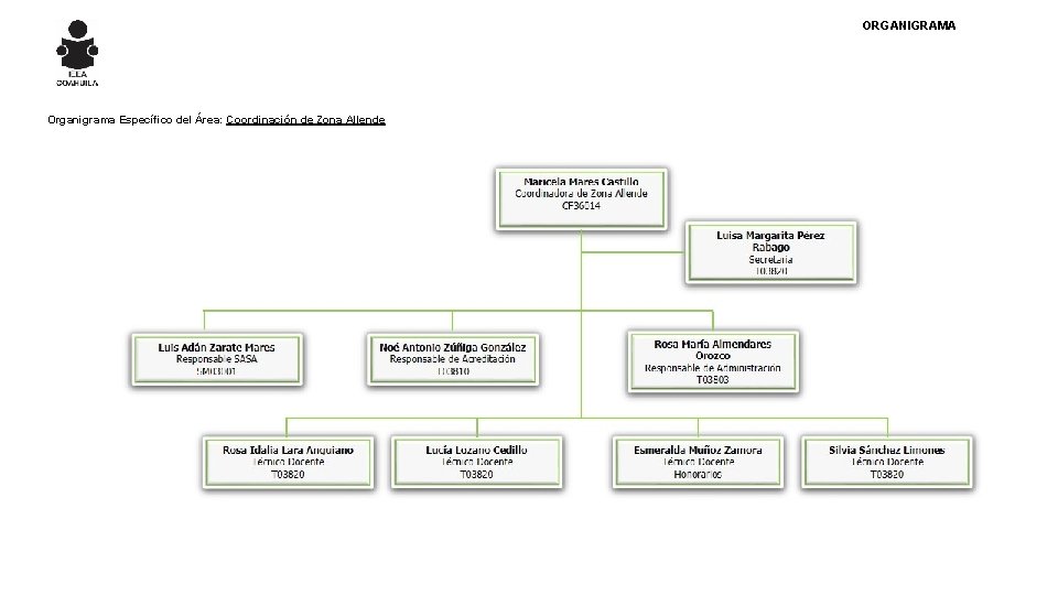 ORGANIGRAMA Organigrama Específico del Área: Coordinación de Zona Allende 