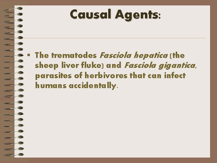 Causal Agents: § The trematodes Fasciola hepatica (the sheep liver fluke) and Fasciola gigantica,