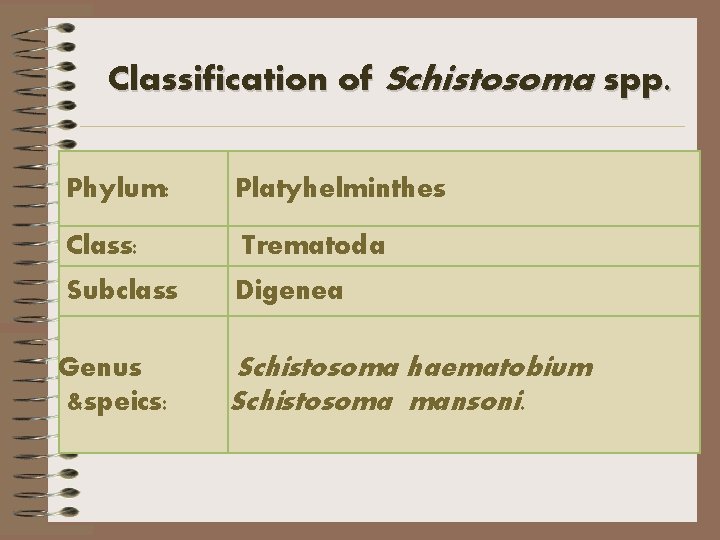 Classification of Schistosoma spp. Phylum: Platyhelminthes Class: Trematoda Subclass Digenea Genus &speics: Schistosoma haematobium