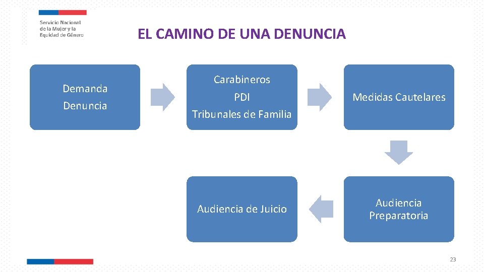 EL CAMINO DE UNA DENUNCIA Demanda Denuncia Carabineros PDI Tribunales de Familia Audiencia de