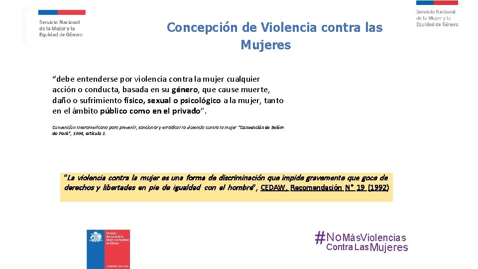 Concepción de Violencia contra las Mujeres “debe entenderse por violencia contra la mujer cualquier