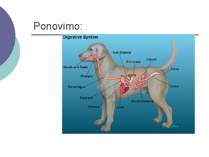 Ponovimo: 