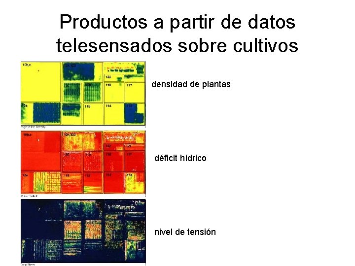 Productos a partir de datos telesensados sobre cultivos densidad de plantas déficit hídrico nivel