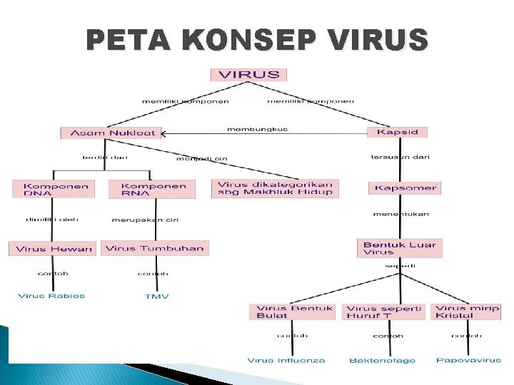 PETA KONSEP VIRUS 