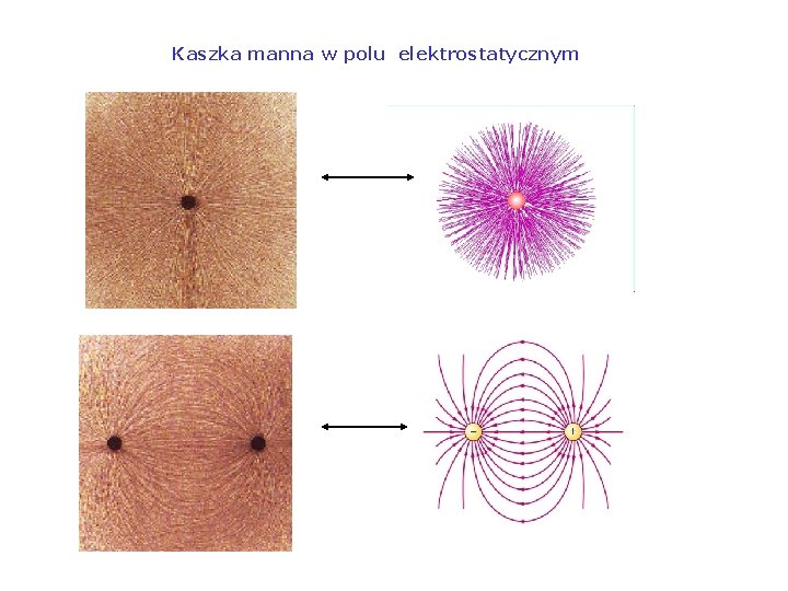 Kaszka manna w polu elektrostatycznym 