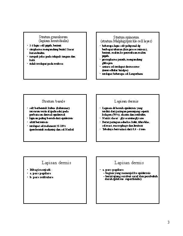 Stratum granulosum (lapisan keratohialin) • 2 -3 lapis sel 2 pipih, berinti • sitoplasma