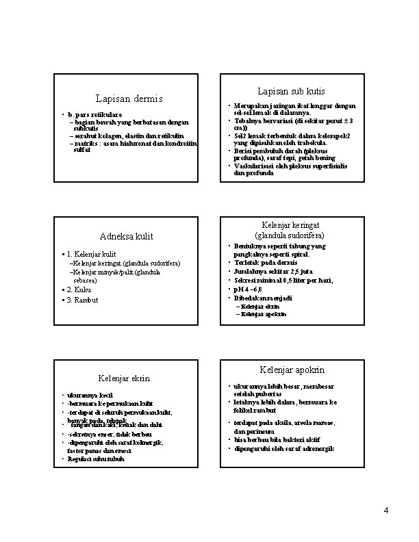 Lapisan dermis • b. pars retikulare – bagian bawah yang berbatasan dengan subkutis –