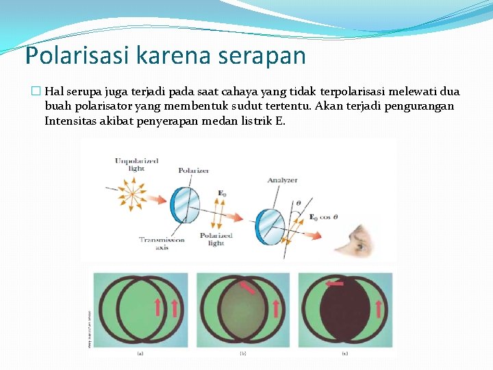 Polarisasi karena serapan � Hal serupa juga terjadi pada saat cahaya yang tidak terpolarisasi