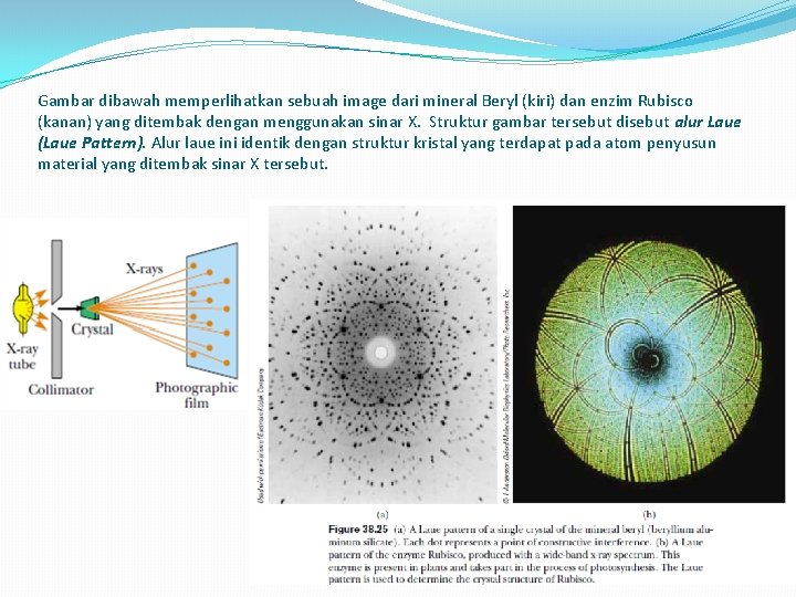 Gambar dibawah memperlihatkan sebuah image dari mineral Beryl (kiri) dan enzim Rubisco (kanan) yang