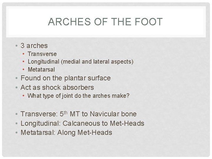 ARCHES OF THE FOOT • 3 arches • Transverse • Longitudinal (medial and lateral