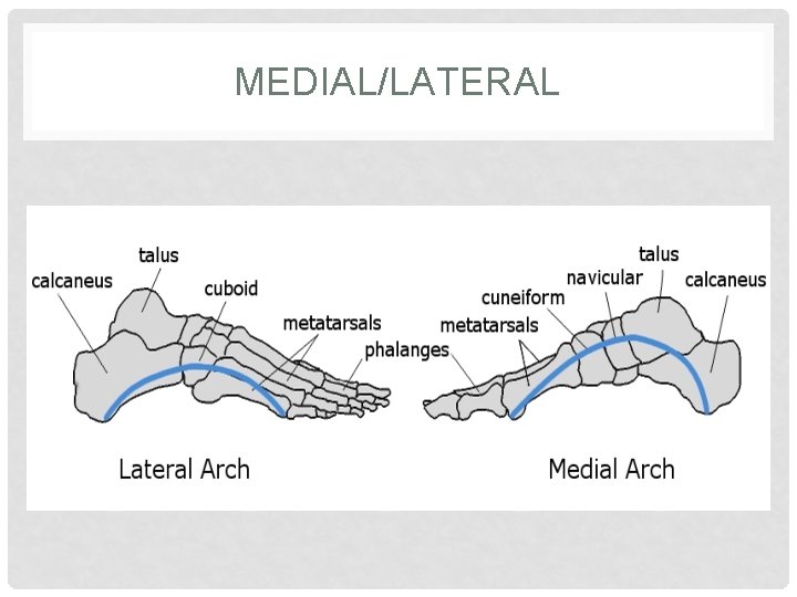 MEDIAL/LATERAL 