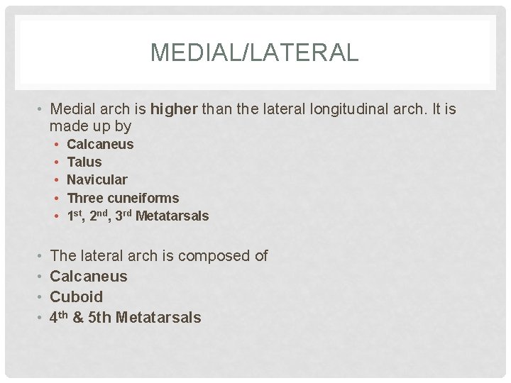 MEDIAL/LATERAL • Medial arch is higher than the lateral longitudinal arch. It is made