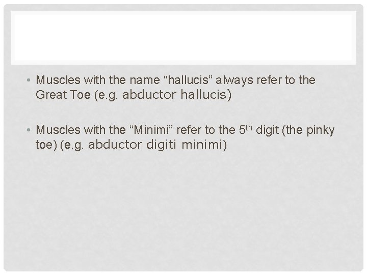  • Muscles with the name “hallucis” always refer to the Great Toe (e.