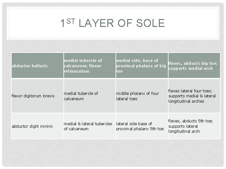 1 ST LAYER OF SOLE abductor hallucis medial tubercle of calcaneum; flexor retinaculum medial