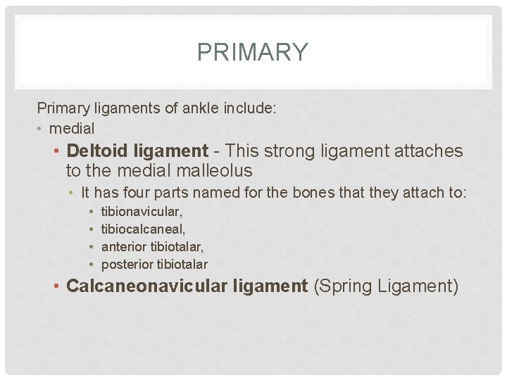 PRIMARY Primary ligaments of ankle include: • medial • Deltoid ligament - This strong