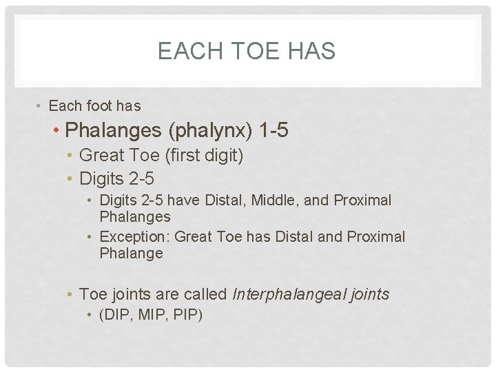 EACH TOE HAS • Each foot has • Phalanges (phalynx) 1 -5 • Great