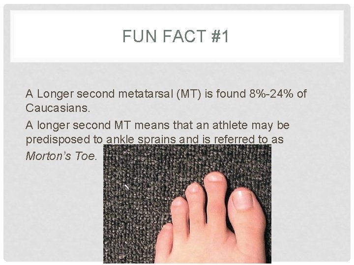 FUN FACT #1 A Longer second metatarsal (MT) is found 8%-24% of Caucasians. A
