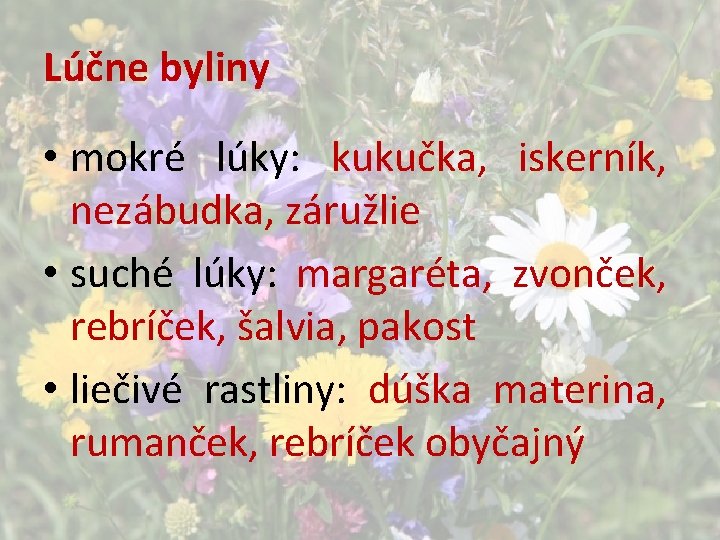 Lúčne byliny • mokré lúky: kukučka, iskerník, nezábudka, záružlie • suché lúky: margaréta, zvonček,