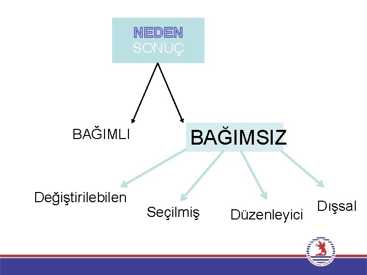 NEDEN SONUÇ BAĞIMLI Değiştirilebilen BAĞIMSIZ Seçilmiş Düzenleyici Dışsal 