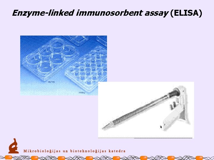 Enzyme-linked immunosorbent assay (ELISA) 