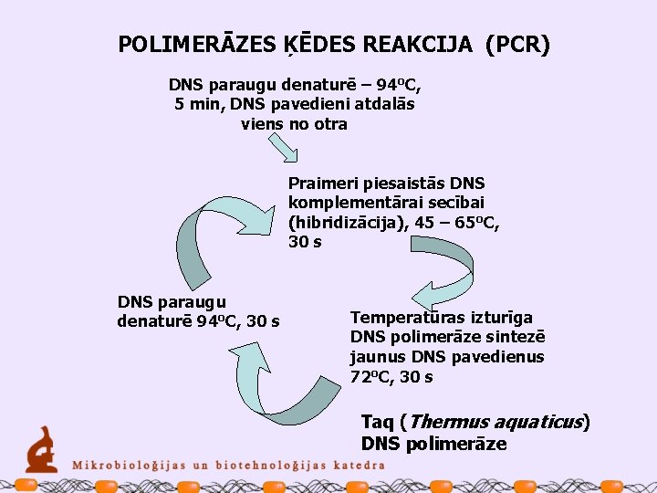 POLIMERĀZES ĶĒDES REAKCIJA (PCR) DNS paraugu denaturē – 94 o. C, 5 min, DNS