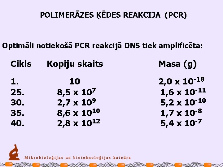 POLIMERĀZES ĶĒDES REAKCIJA (PCR) Optimāli notiekošā PCR reakcijā DNS tiek amplificēta: Cikls Kopiju skaits
