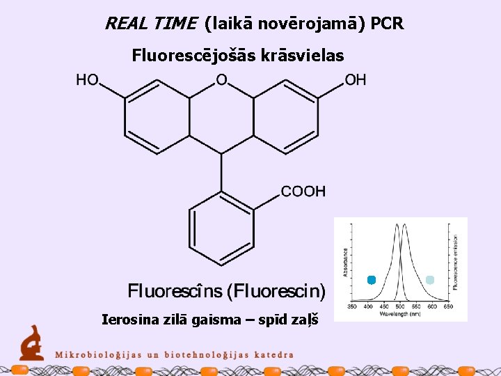 REAL TIME (laikā novērojamā) PCR Fluorescējošās krāsvielas Ierosina zilā gaisma – spīd zaļš 