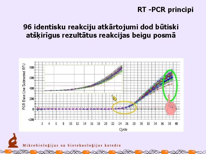 RT -PCR principi 96 identisku reakciju atkārtojumi dod būtiski atšķirīgus rezultātus reakcijas beigu posmā