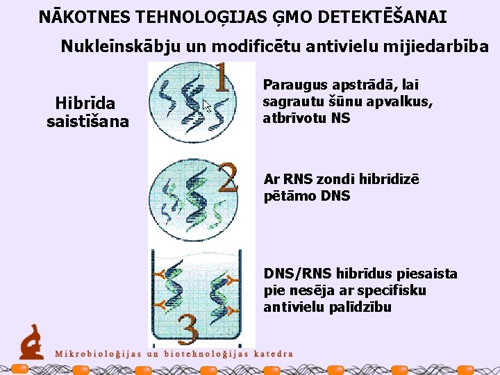 NĀKOTNES TEHNOLOĢIJAS ĢMO DETEKTĒŠANAI Nukleīnskābju un modificētu antivielu mijiedarbība Hibrīda saistīšana Paraugus apstrādā, lai