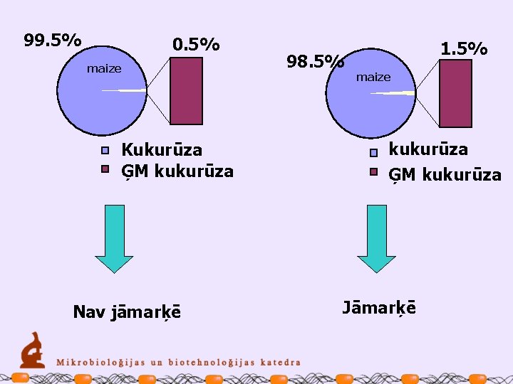 99. 5% 0. 5% maize Kukurūza ĢM kukurūza Nav jāmarķē 98. 5% 1. 5%