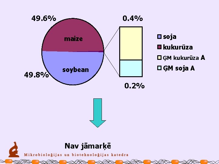 49. 6% 0. 4% soja maize kukurūza ĢM kukurūza A 49. 8% ĢM soja