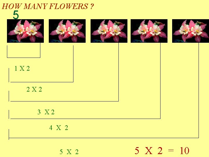 HOW MANY FLOWERS ? 5 1 X 2 2 X 2 3 X 2 HOW MANY FLOWERS ? 5 1 X 2 2 X 2 3 X 2