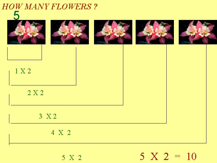 HOW MANY FLOWERS ? 5 1 X 2 2 X 2 3 X 2