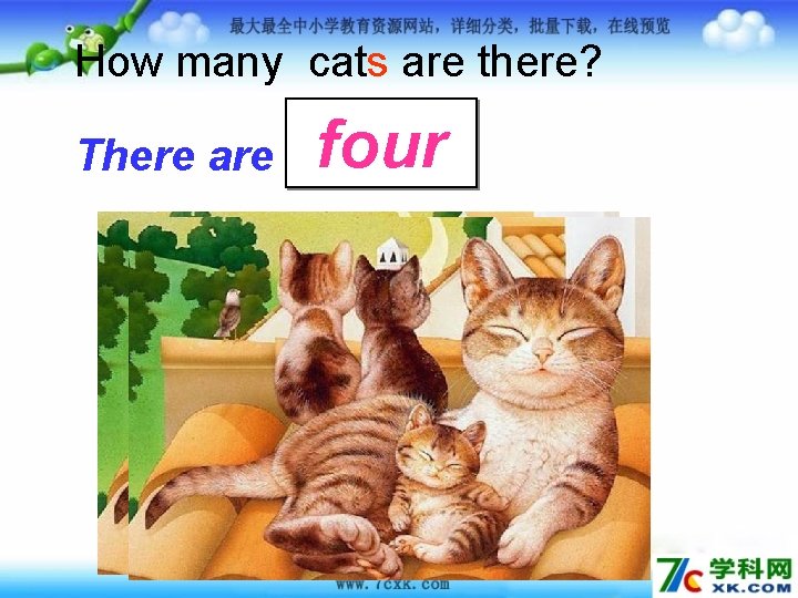 How many cats are there? There are four 