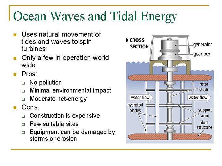Ocean Waves and Tidal Energy n n n Uses natural movement of tides and