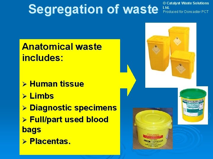 Segregation of waste Anatomical waste includes: Ø Human tissue Ø Limbs Ø Diagnostic specimens