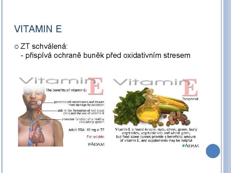 VITAMIN E ZT schválená: - přispívá ochraně buněk před oxidativním stresem 