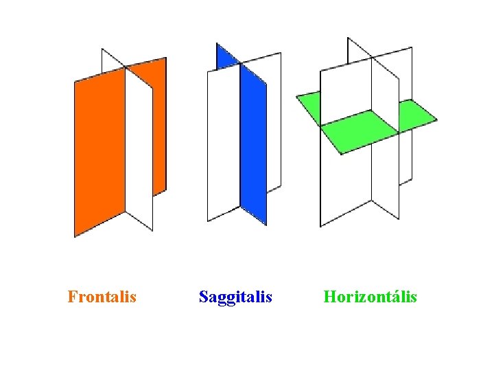 Frontalis Saggitalis Horizontális 