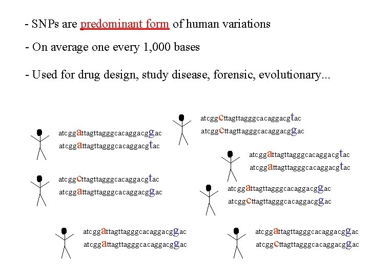 - SNPs are predominant form of human variations - On average one every 1,