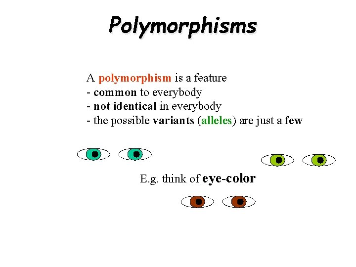 Polymorphisms A polymorphism is a feature - common to everybody - not identical in