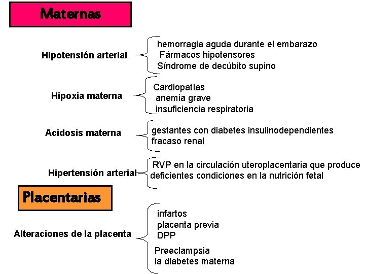 Maternas Hipotensión arterial Hipoxia materna Acidosis materna Hipertensión arterial hemorragia aguda durante el embarazo