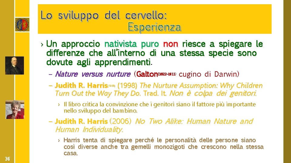 Lo sviluppo del cervello: Esperienza › Un approccio nativista puro non riesce a spiegare