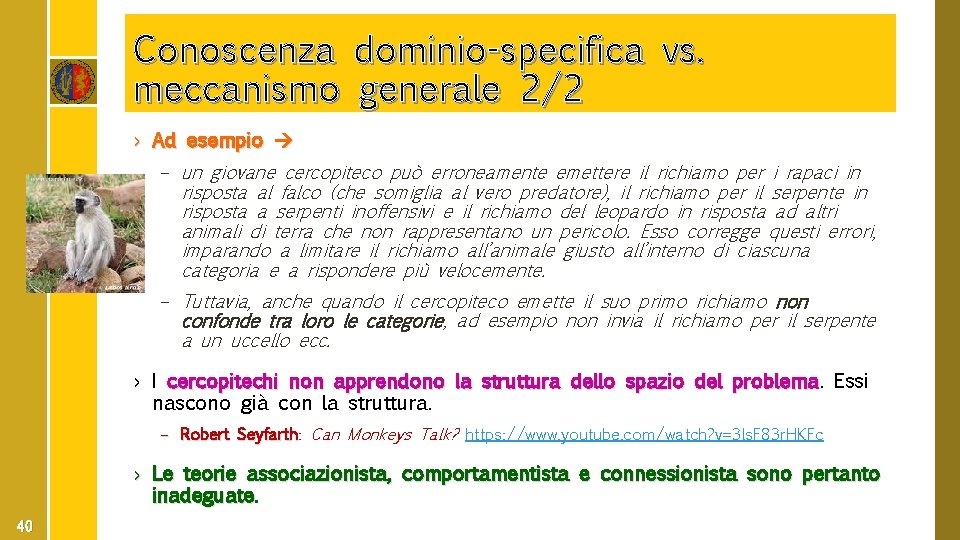 Conoscenza dominio-specifica vs. meccanismo generale 2/2 › Ad esempio – un giovane cercopiteco può