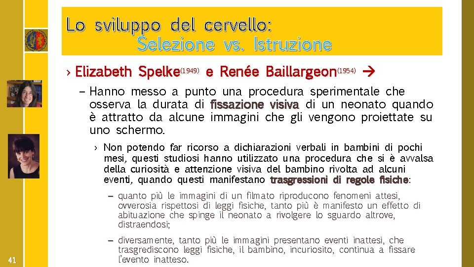 Lo sviluppo del cervello: Selezione vs. Istruzione › Elizabeth Spelke(1949) e Renée Baillargeon(1954) –