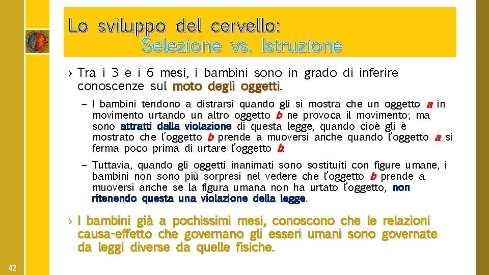 Lo sviluppo del cervello: Selezione vs. Istruzione › Tra i 3 e i 6