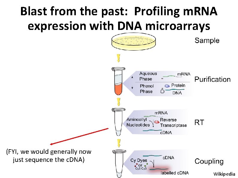 Blast from the past: Profiling m. RNA expression with DNA microarrays (FYI, we would