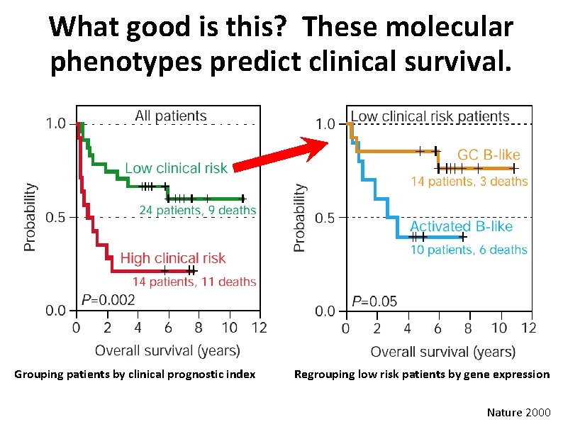 What good is this? These molecular phenotypes predict clinical survival. Grouping patients by clinical