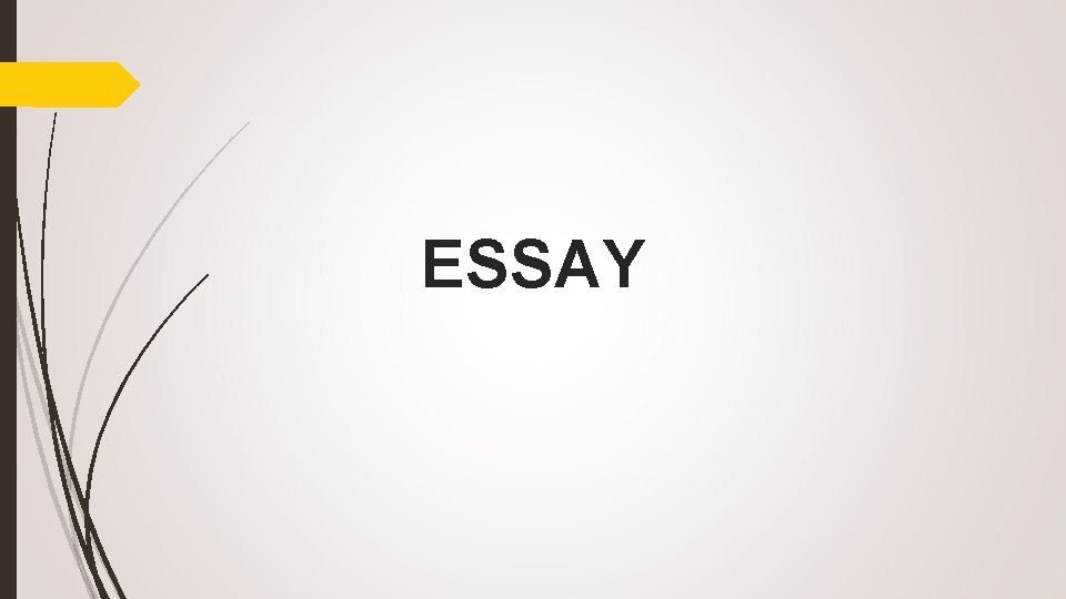 ESSAY 