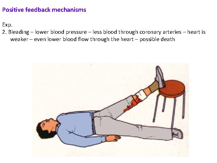 Positive feedback mechanisms Exp. 2. Bleading – lower blood pressure – less blood through